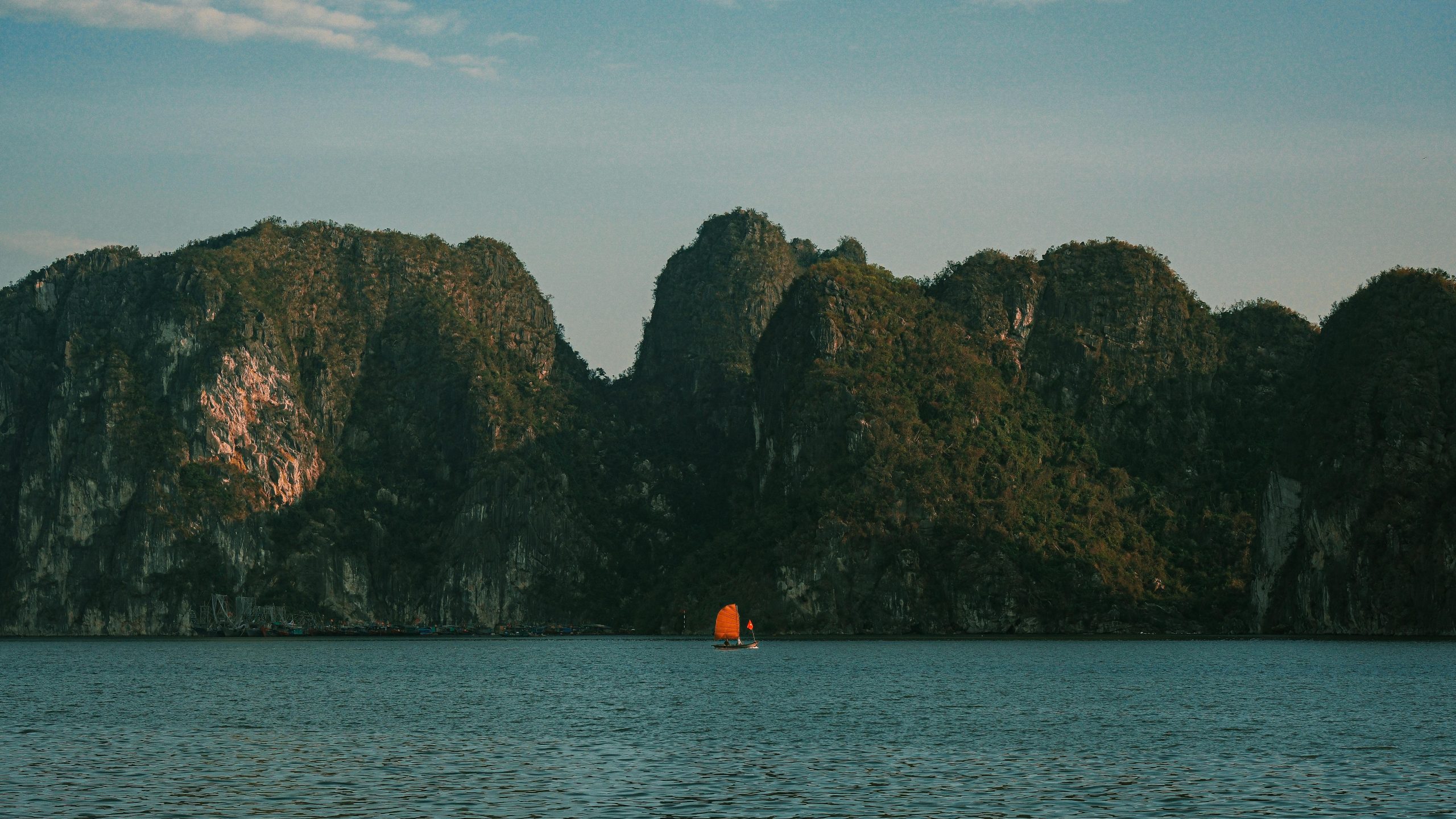 pexels-tu-nguyen-477344610-31892206 (1)